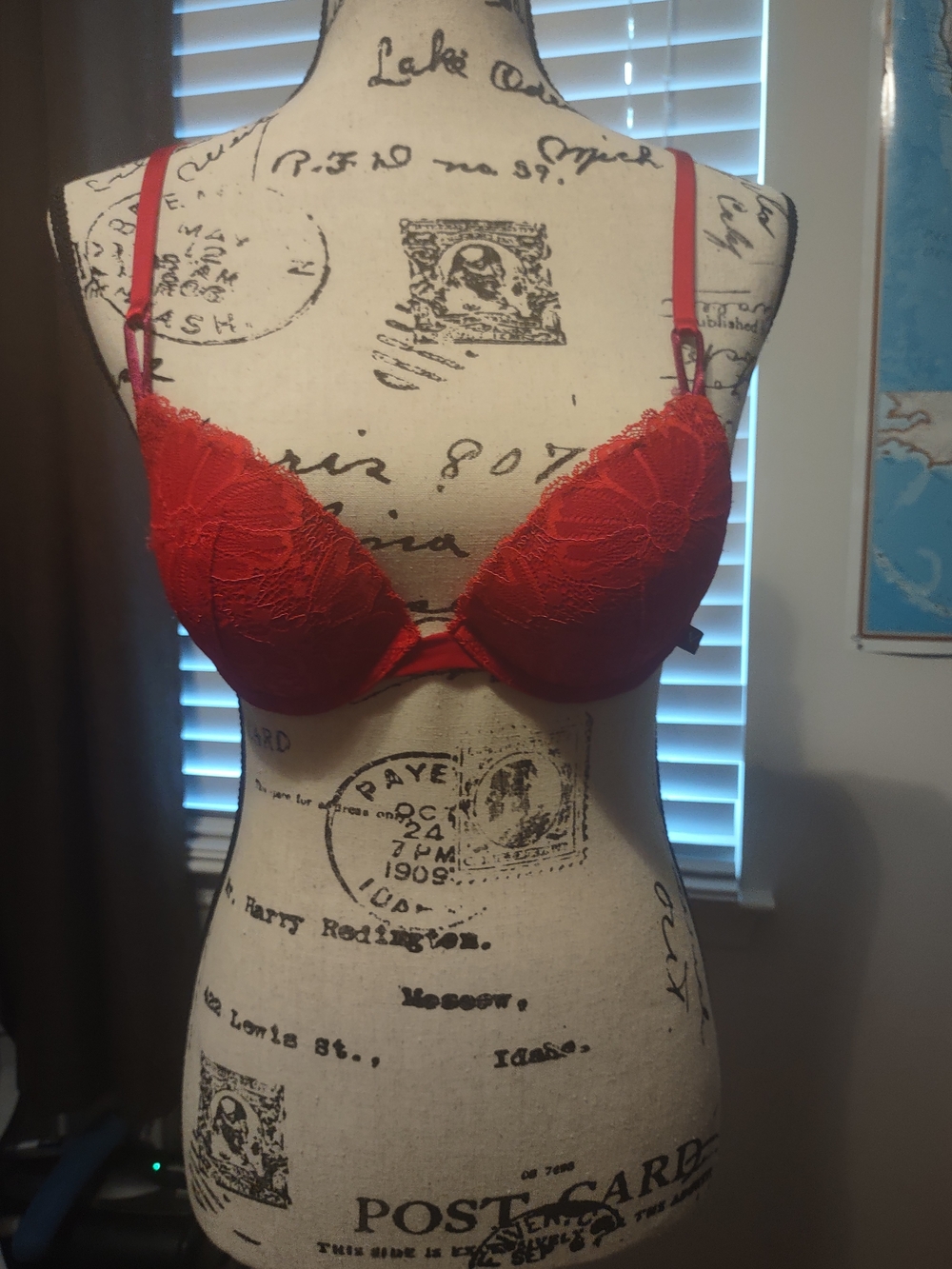 Victoria's Secret Red Lace Demi Push-Up Bra